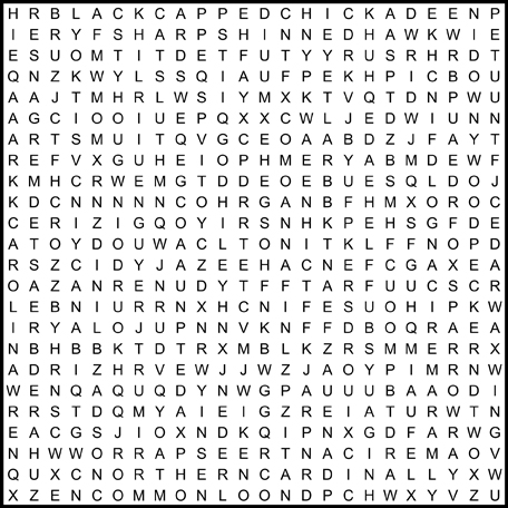 Common Loon. Dark-eyed Junco common loon winter. Common Loon. Dark-eyed Junco