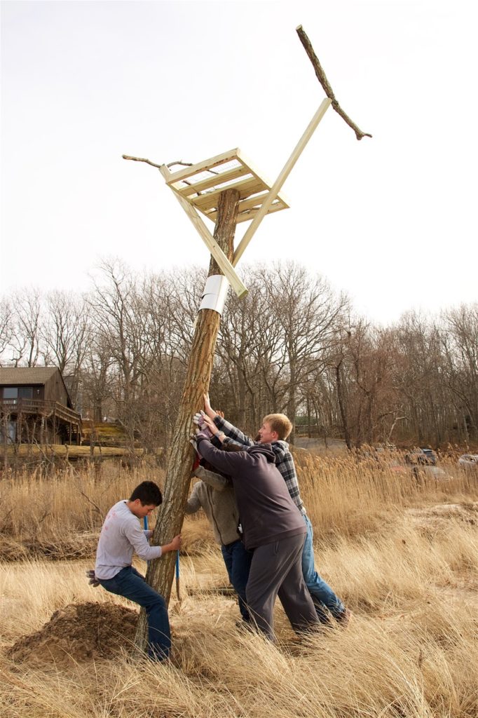 how to build an osprey platform