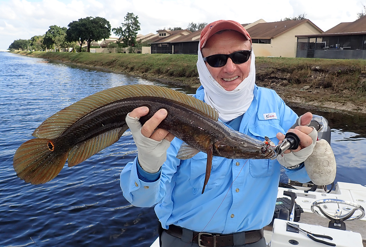 Fish on: Heading out for snakeheads - Shelter Island Reporter